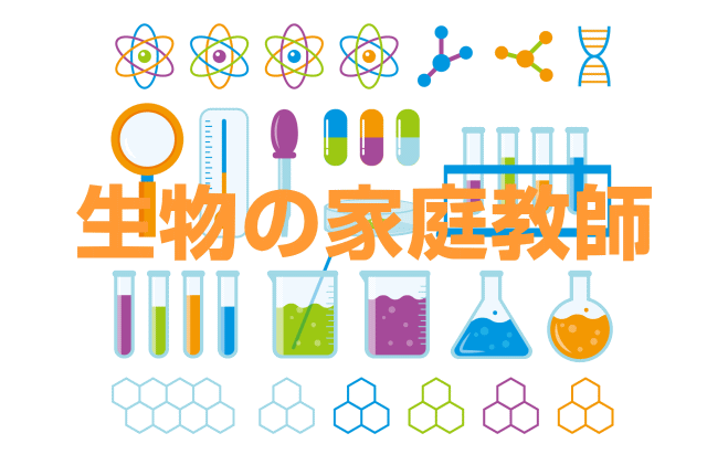 生物の家庭教師バイト